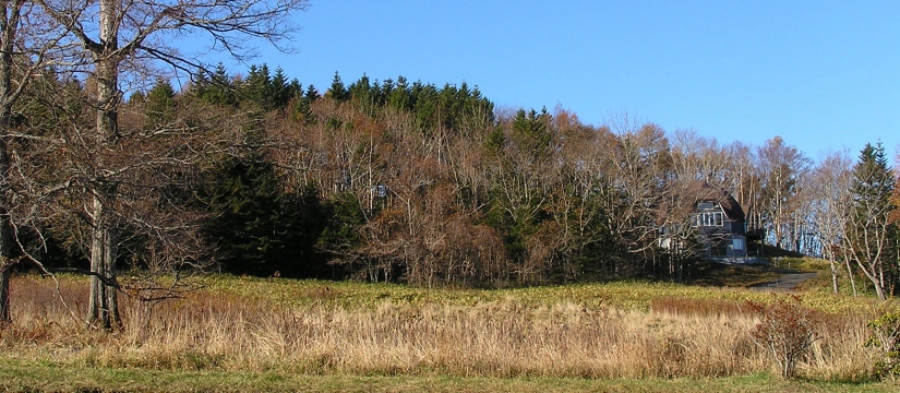 torimupa300004.jpg
